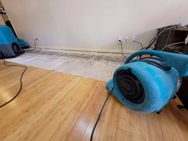 Professional Burst Pipe Water Damage technician working in Hillsborough, CA
